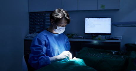 무통 수면 마취 진행 후 환자가 완전히 잠든 것을 확인합니다.